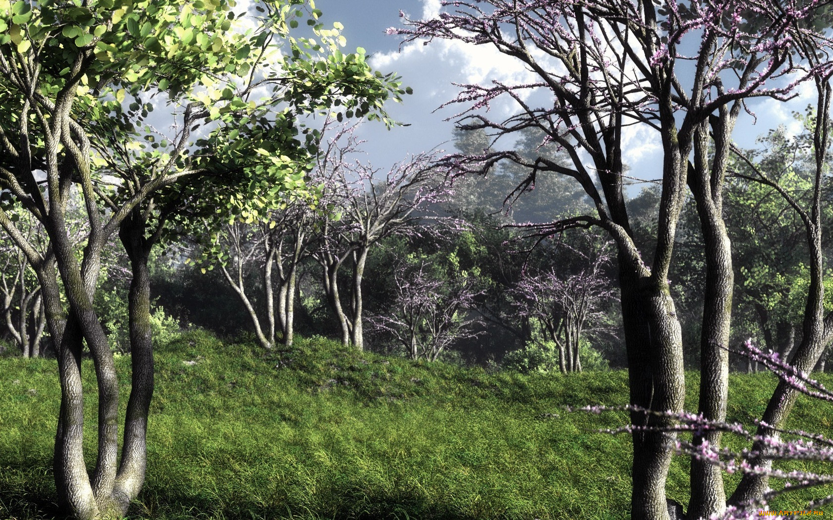 3, , nature, landscape, , 
